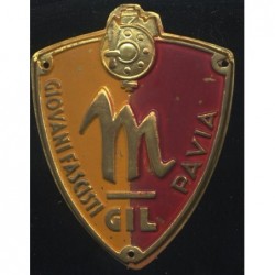 Scudetto GIL Giovani...