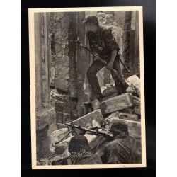 Cartolina Waffen SS non...