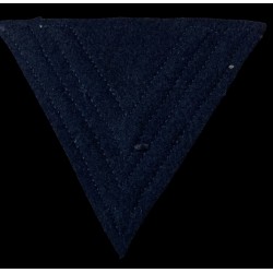 Rottenfuhrer Waffen SS , tropical rank arm badge