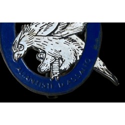 Distintivo Aliantisti d Assalto 1941/1945