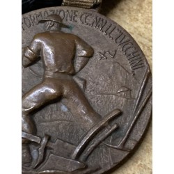 Rara medaglia in bronzo Legione di Formazione CCNN "Lucchini"  Oltre la Meta