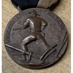 Rare bronze medal CCNN Formation Legion "Lucchini" Beyond the Meta