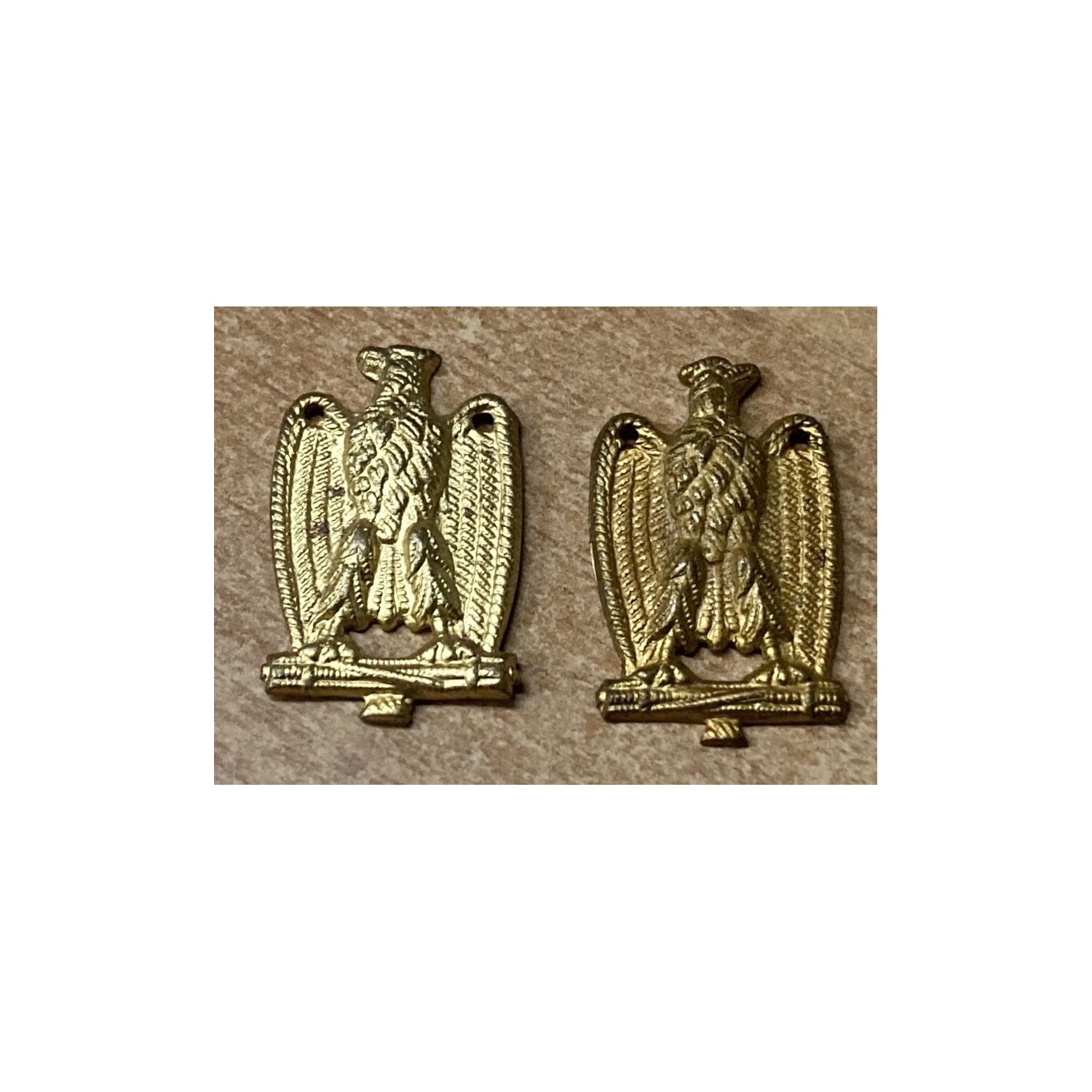 Pair of lapel eagles for Ministerial Officials