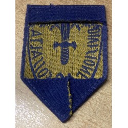 Scudetto da manica , versione da truppa 16a Divisione Fanteria FOSSALTA (Pistoia)