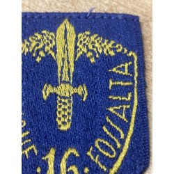 Scudetto da manica , versione da truppa 16a Divisione Fanteria FOSSALTA (Pistoia)