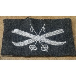 Raro fregio da manica specialita' SKIATORE 1a Guerra Mondiale