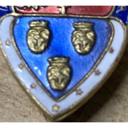 Rare Azione Dalmatica badge
