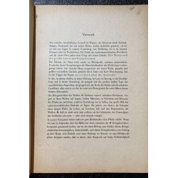 Waffen SS im Westen libro fotografico sulle Waffen SS