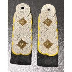 Coppia di spalline da Colonnello Reggimento Cavalleria Waffen SS