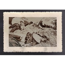 Lotto di foto di un massacro di civili durante la Guerra di Spagna