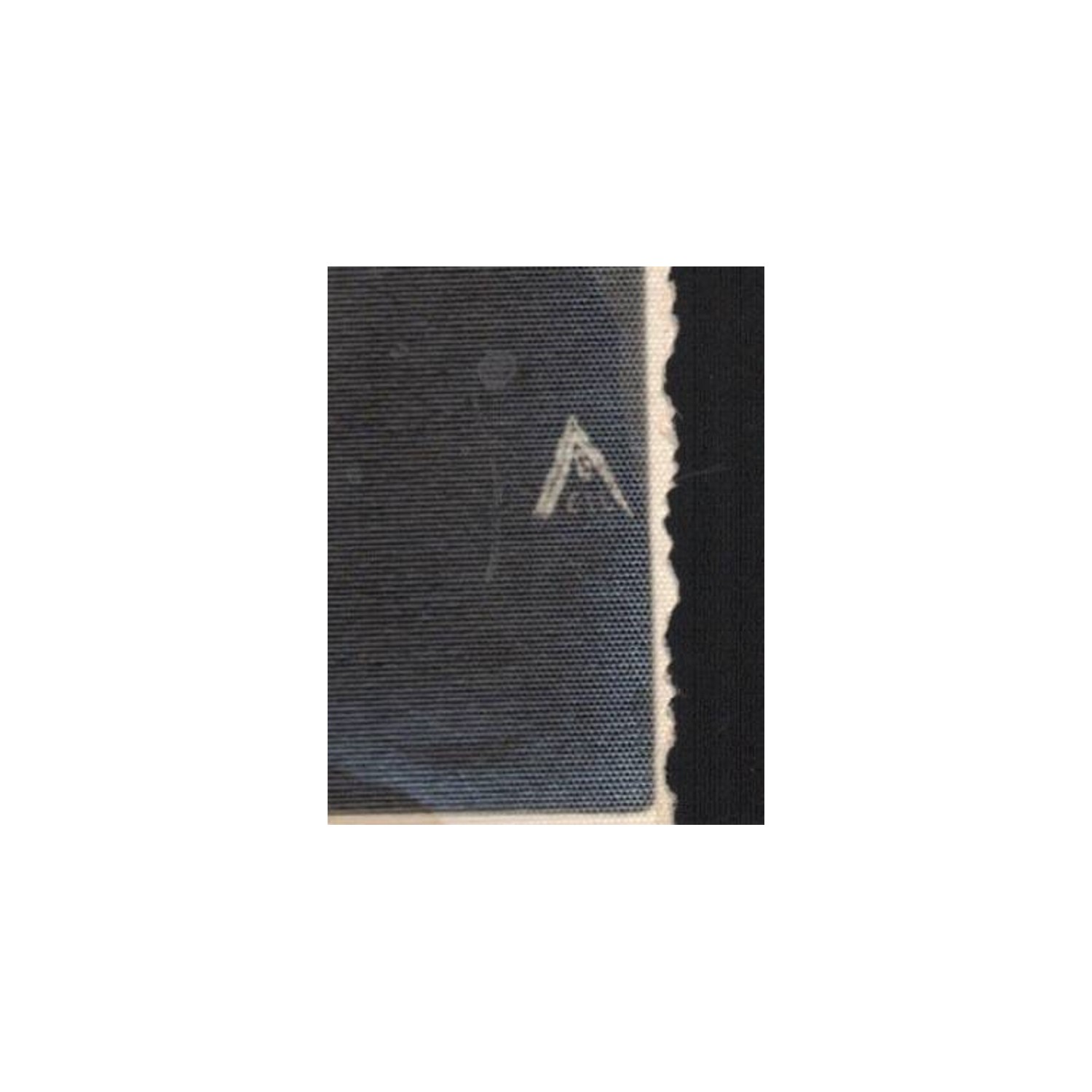 Foto ritratto di una donna in uniforme ruolo GIL