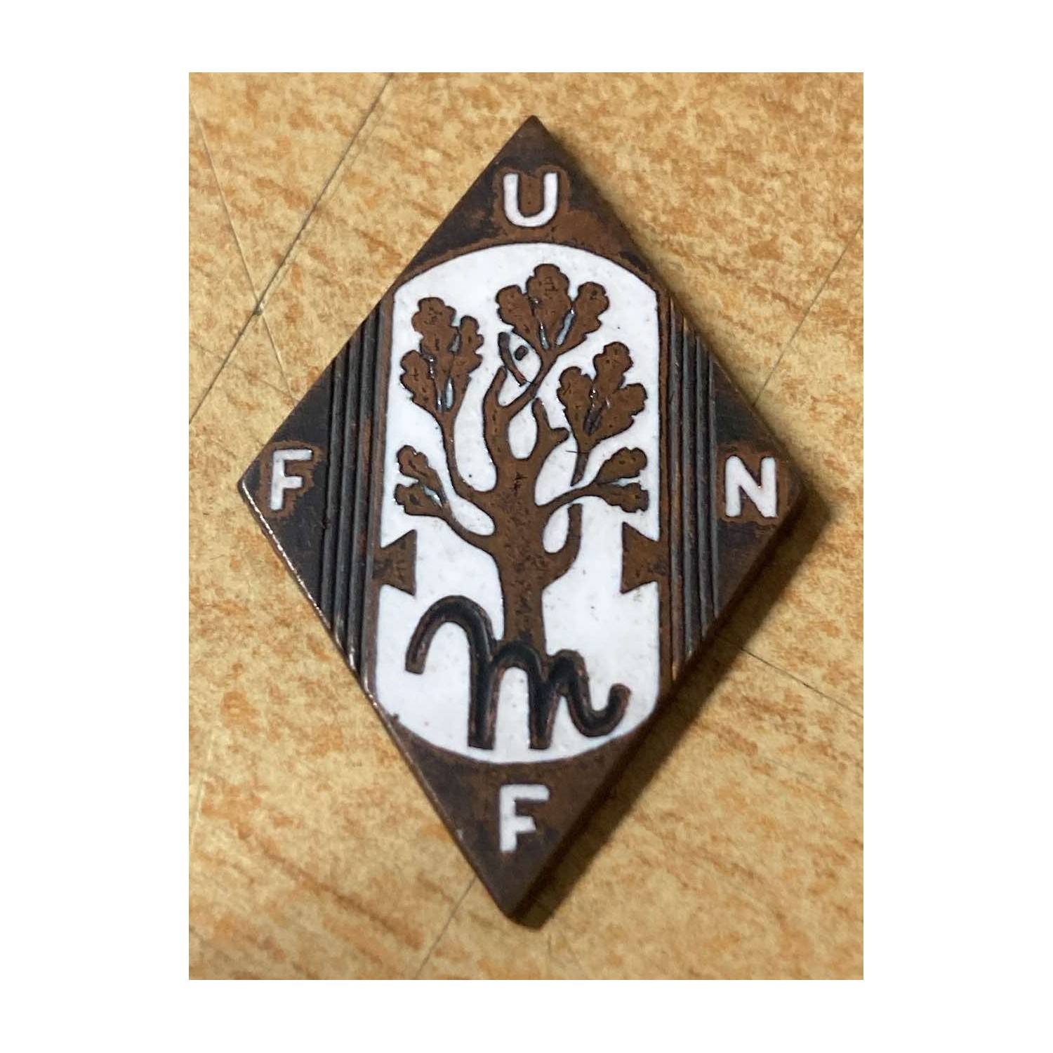 UNFF Fascist Union of Large Families, the pin is missing