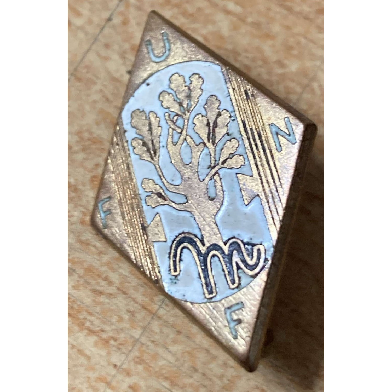 Distintivo UFFN Unione Fascista Famiglie NUmerose