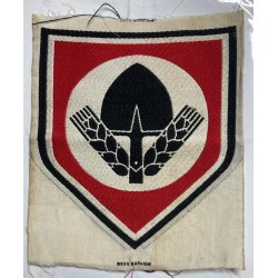 RAD Reichsarbeitdienst badge for training suite