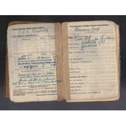 Rare soldbuch belonging to a soldier of the Nebelwerfer Rgt 54 , Hermann Wolf