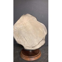 RSI Republican National Guard hat for Officer