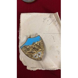 ASSIETTA Division enamel badge