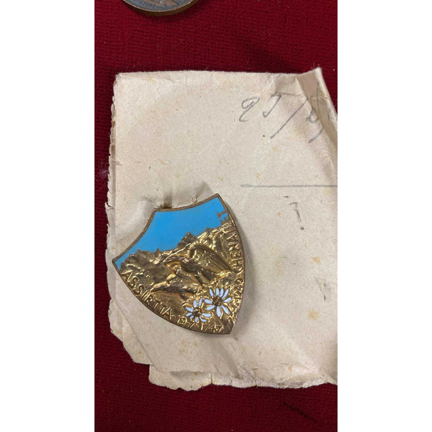 ASSIETTA Division enamel badge