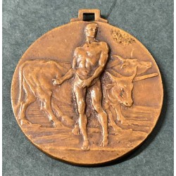 Rare bronze and enamel medal from the Parma Granaria Propaganda Commission, 1932