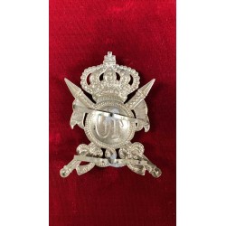 Fregio da Colbacco 10° rgt Lancieri Vittorio Emanuele II° ante 1934