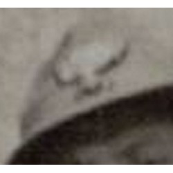 Foto di grande formato con Ufficiale MVSN e civili