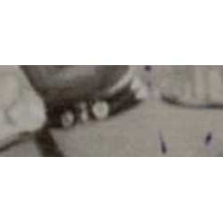 Foto di grande formato con Ufficiale MVSN e civili