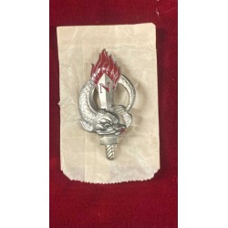 Distintivo NUOTATORE PARACADUTISTA Marina Militare