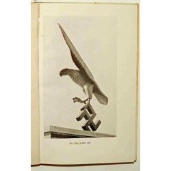 DAS AUGE DER ARMEE in lingua originale "Combattimento e vittoria di un aereo da ricognizione a lungo raggio"