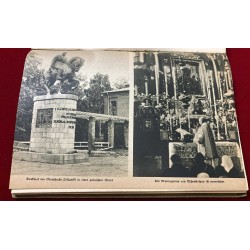 book DER SIEG in POLEN 1939