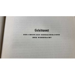 book DER SIEG in POLEN 1939