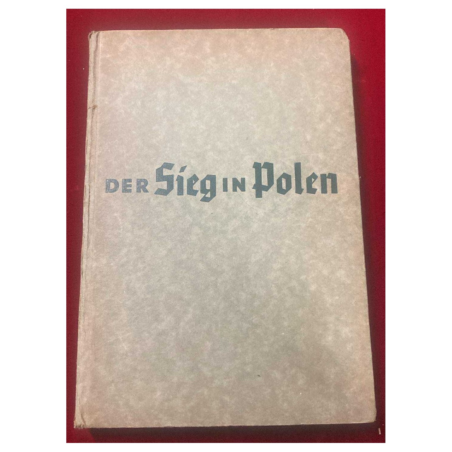 book DER SIEG in POLEN 1939