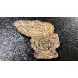 Italian Bersaglieri Officer's hat front badge Mod 1895