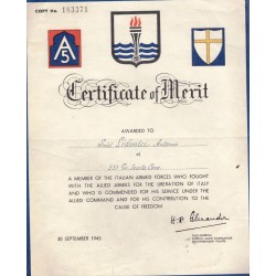 Certificate of Merit Certificato al Merito di  Servizio Regno del Sud