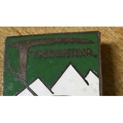 Abzeichen der Gebirgsjäger der 2. Gebirgsdivision TRIDENTINA