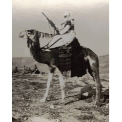 Photo Campaign of Africa Knight Meharista