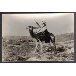 Foto Campagna d Africa cavaliere Meharista