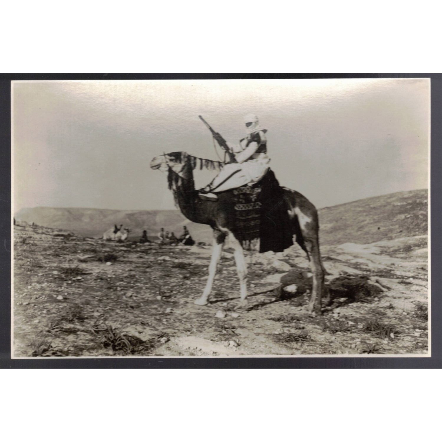 Fotokampagne von Afrika Knight Meharista