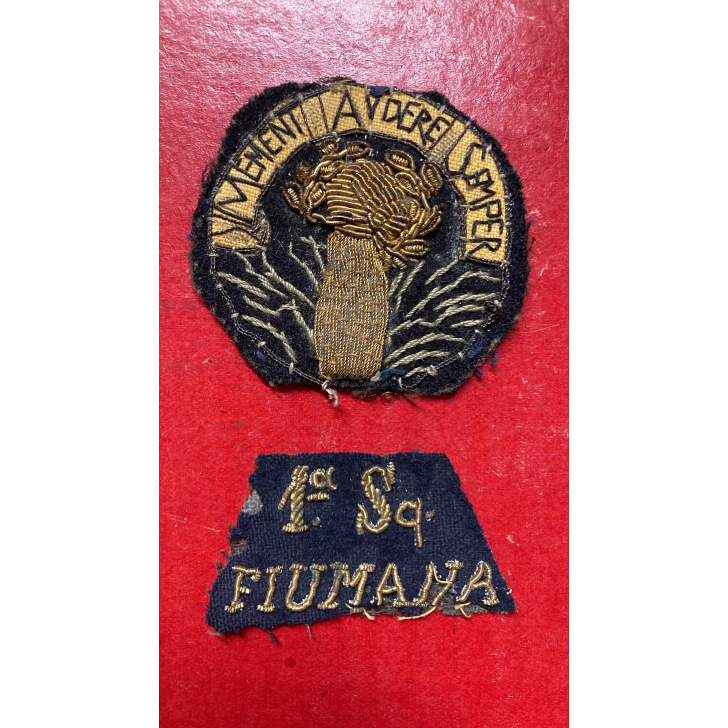 Fregio da manica da Ufficiale 1a Squadriglia FIUMANA Memento Audere Semper