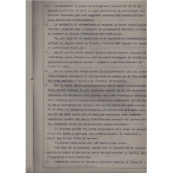 Projekt für ein Kampftrainingsflugzeug für die italienische Luftwaffe, Officine Breda Meccanica