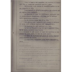 Projekt für ein Kampftrainingsflugzeug für die italienische Luftwaffe, Officine Breda Meccanica