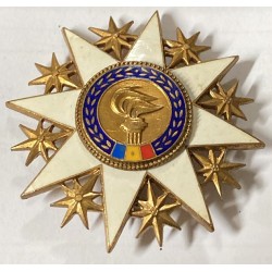 Star of the Order of Cultural Merit, Romania, First Class