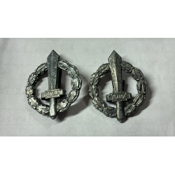 Rari ! Coppia di gladi da uniforme per la ANR Aviazione Nazionale Repubblicana  1944/45