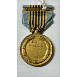 Die US-Luftwaffenmedaille
