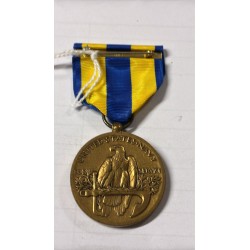 Die Navy Expeditionary Medal ist eine 1936 gestiftete Auszeichnung der US-Streitkräfte.
