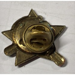 Soviet communist propaganda pin from the 70s/80s