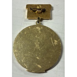 Sowjetisches Gedenkabzeichen „Veteran der 195. Rotbanner-Schützendivision“