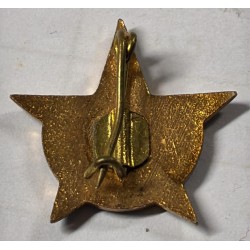 distintivo dell'Organizzazione dei Pionieri Rumeni.