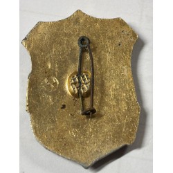 Soviet "Druzhinnik" pin for the People's Volunteer Squad