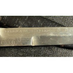 Stunning dagger from the Italian Social Republic period, the Leonessa Armored Group of the Republican National Guard.