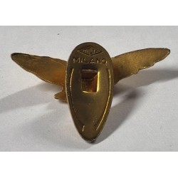 Pilotenlizenzabzeichen der italienischen Royal Air Force aus den 1920er Jahren für Zivilkleidung